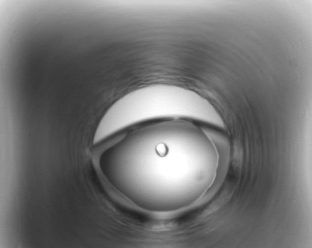 X0000089440621200706221230