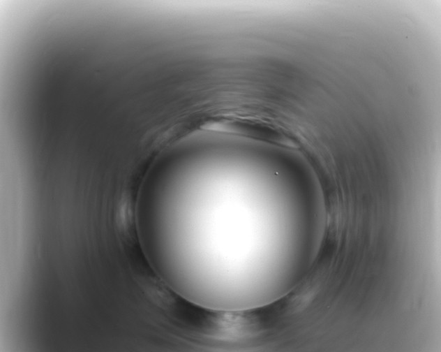 X0000089440623200706221230