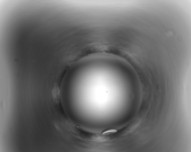 X0000089440624200706221230