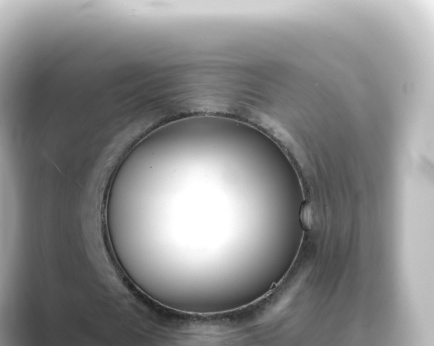 X0000089440625200706221230