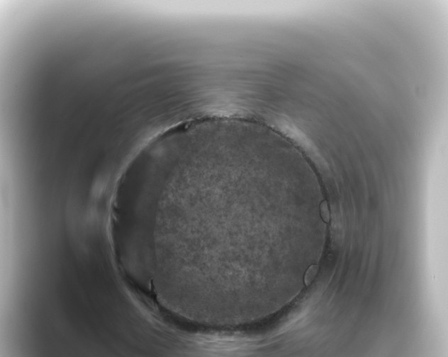 X0000089440626200706221230