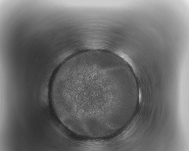 X0000089440627200706221230
