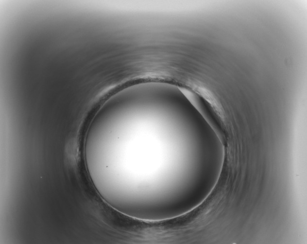X0000089440628200706221230