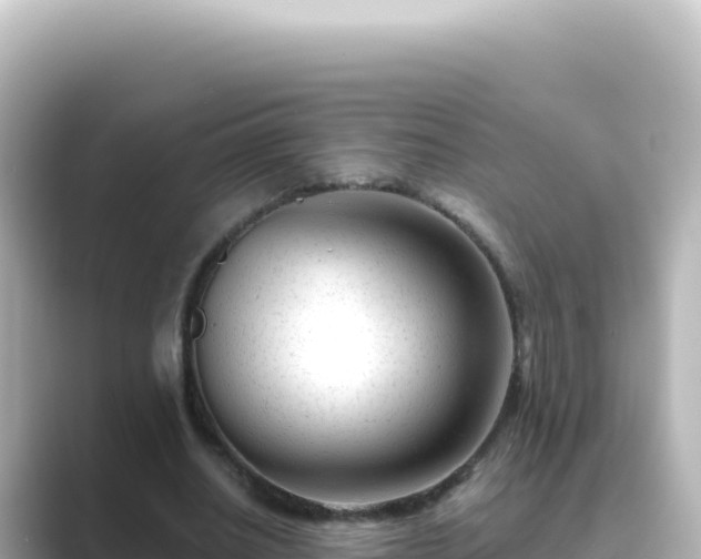 X0000089440630200706221230
