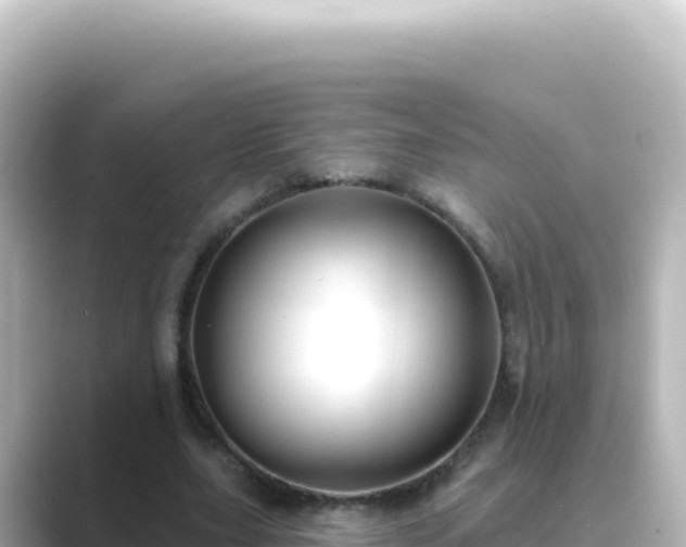 X0000089440631200706221230