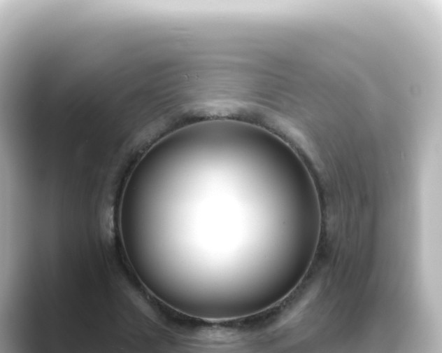 X0000089440633200706221230