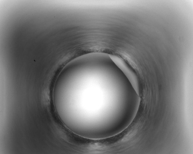 X0000089440634200706221230