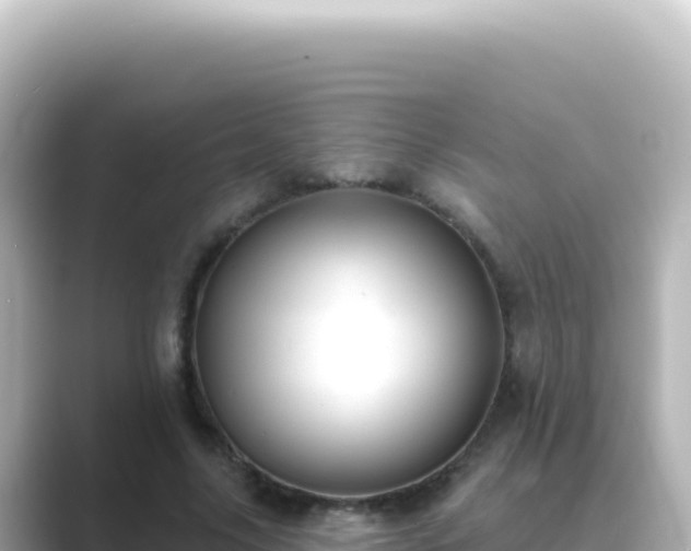 X0000089440635200706221230