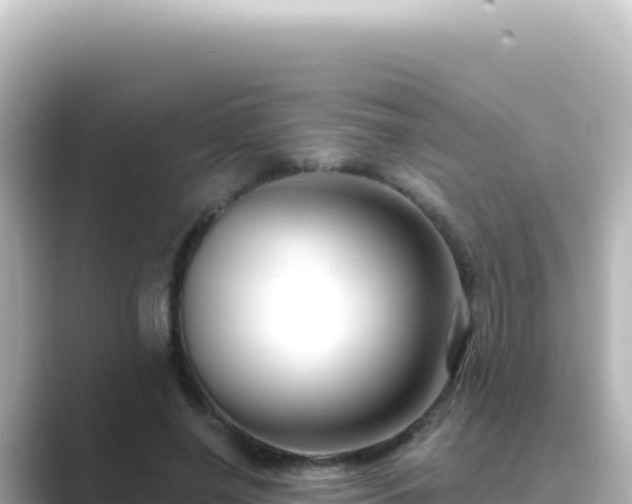 X0000089440638200706221230