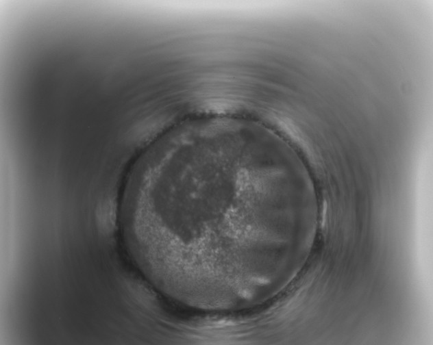 X0000089440640200706221230