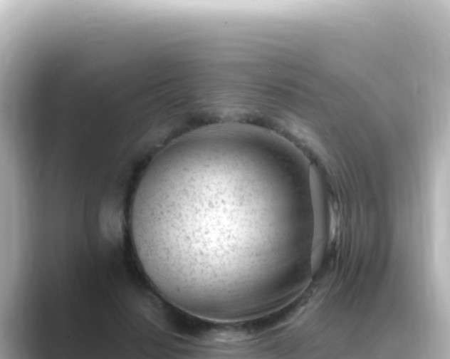 X0000089440644200706221230