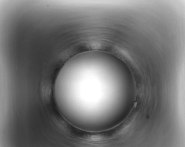 X0000089440645200706221230