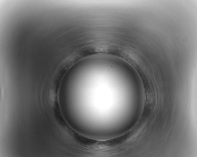 X0000089440648200706221230