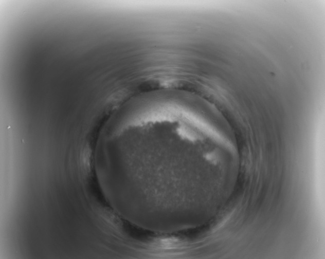 X0000089440650200706221230
