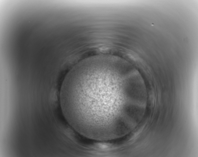 X0000089440654200706221230