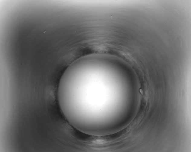X0000089440658200706221230