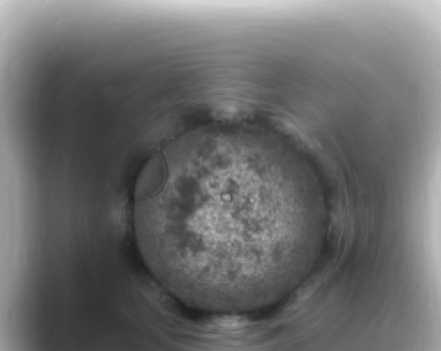X0000089440659200706221230