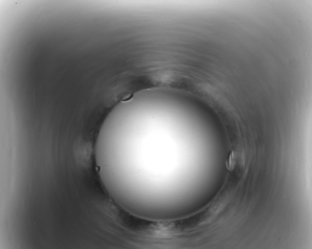 X0000089440660200706221230