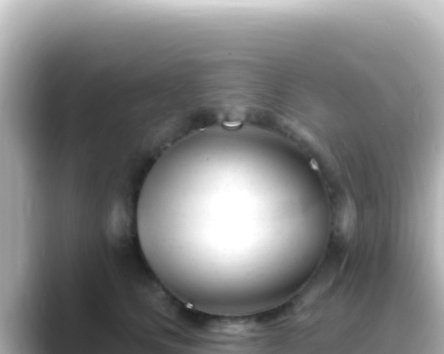 X0000089440661200706221230