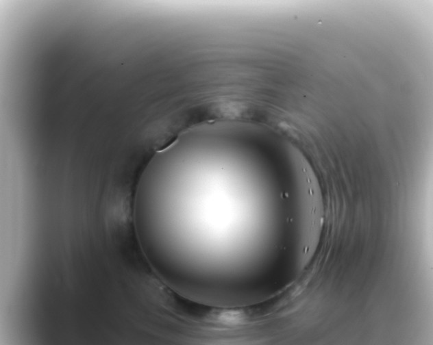 X0000089440665200706221230