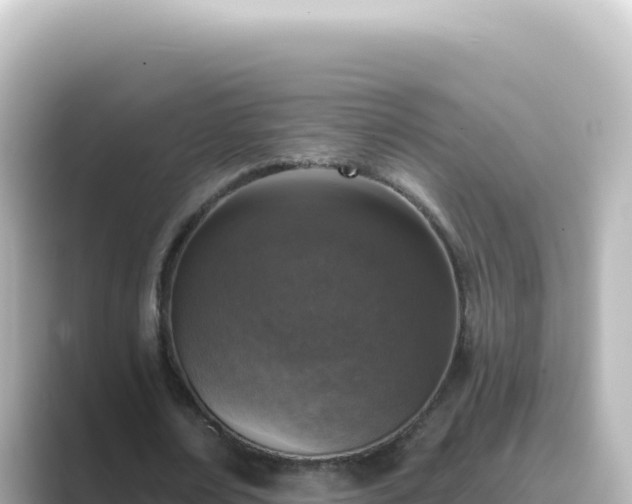 X0000089440674200706221230