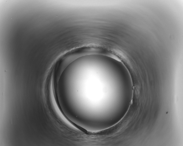 X0000089440676200706221229