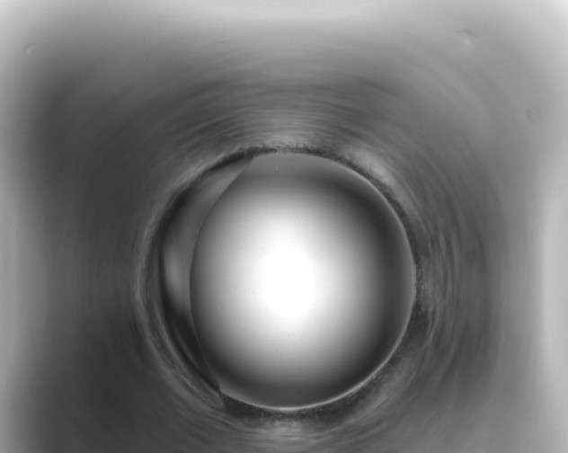 X0000089440677200706221229