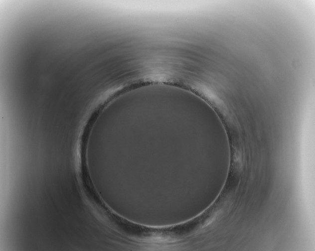 X0000089440678200706221229