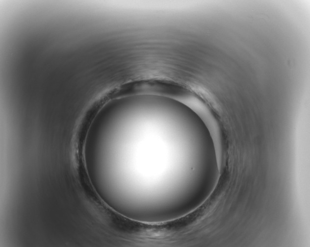 X0000089440680200706221229