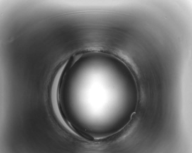 X0000089440681200706221229