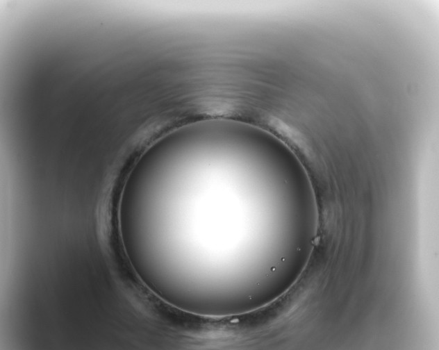 X0000089440682200706221229