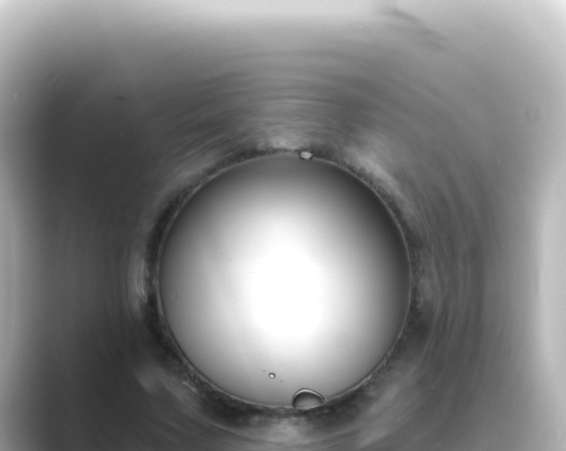 X0000089440683200706221229