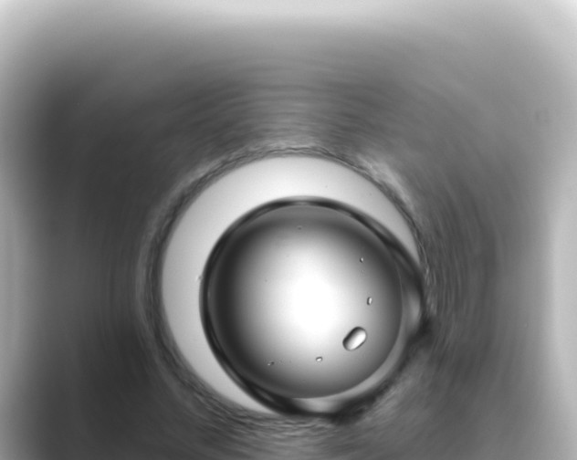 X0000089440684200706221229