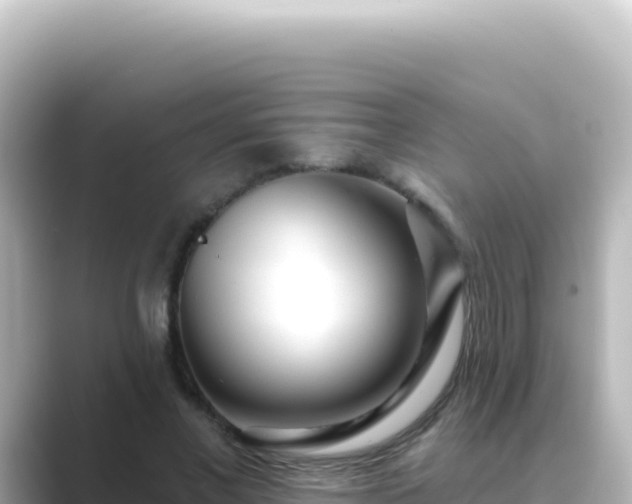 X0000089440685200706221229