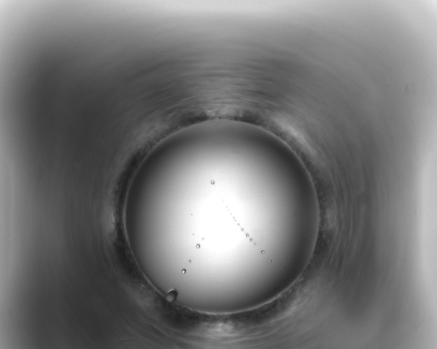 X0000089440687200706221229