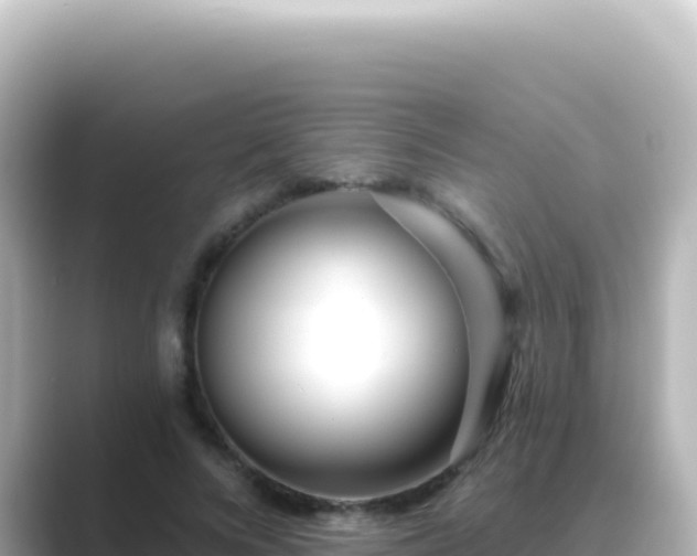 X0000089440688200706221229