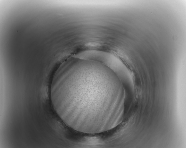 X0000089440689200706221229