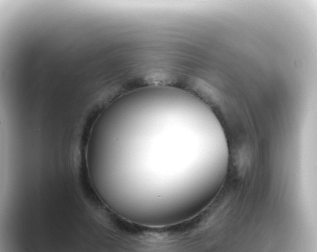 X0000089440690200706221229