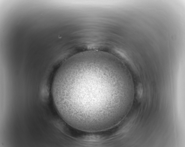 X0000089440691200706221229