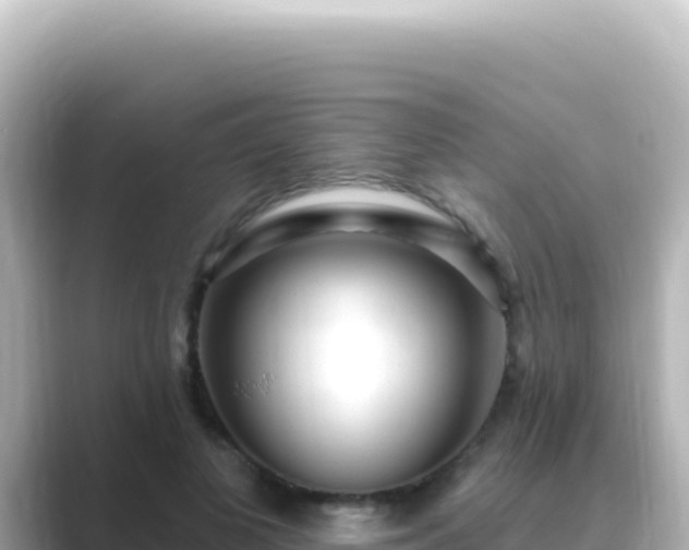 X0000089440693200706221229