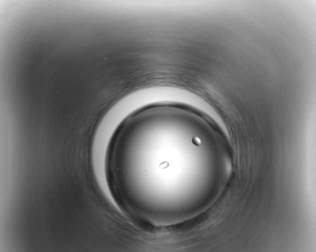 X0000089440696200706221229