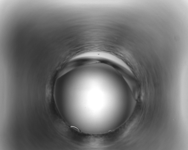 X0000089440697200706221229