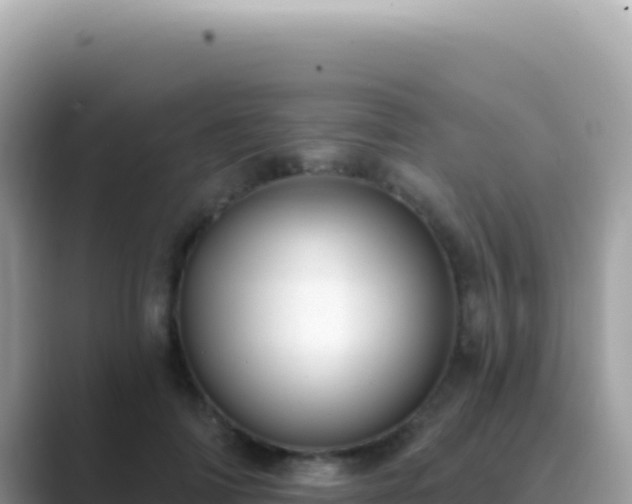 X0000089440698200706221229