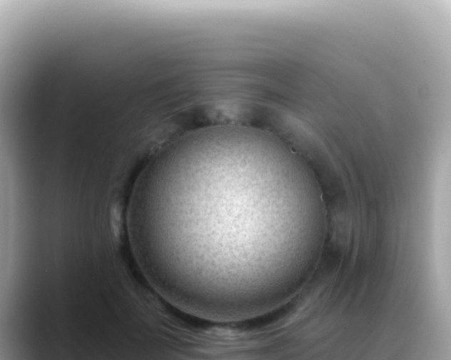 X0000089440699200706221229