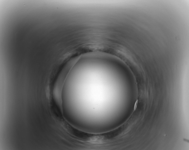 X0000089440700200706221229
