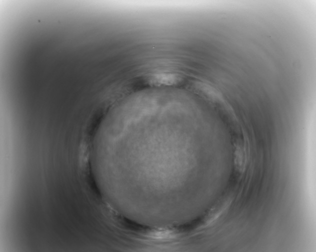 X0000089440701200706221229