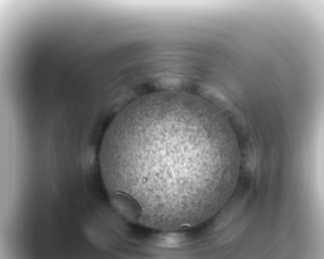 X0000089440711200706221229