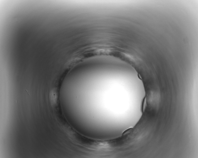 X0000089440715200706221229