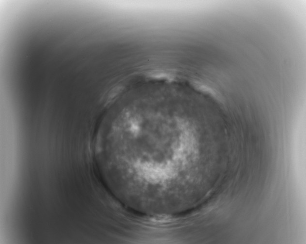 X0000089440720200706221229