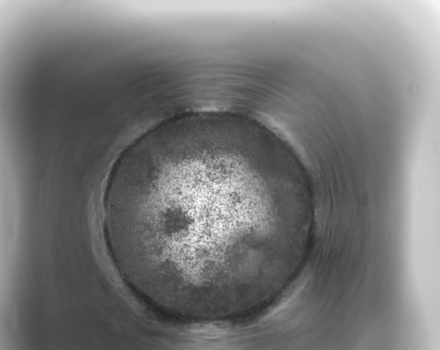 X0000089440721200706221228